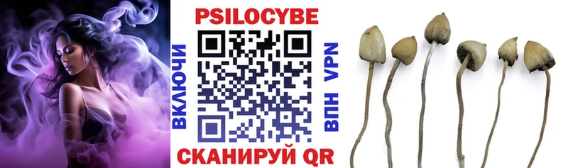 Купить где  Долинск  Галлюциногенные грибы Magic Shrooms 